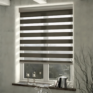Zebra Blinds